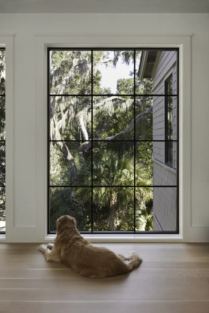 Maintain Steel Doors and Windows
